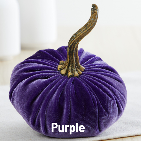 Pumpkin Small Velvet Fall Decor Gift for New Apartment Best: Harvest