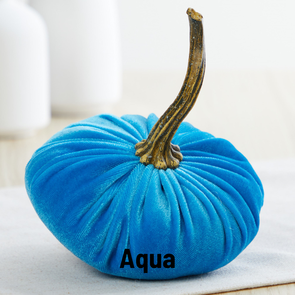 Pumpkin Small Velvet Fall Decor Gift for New Apartment Best: Sage