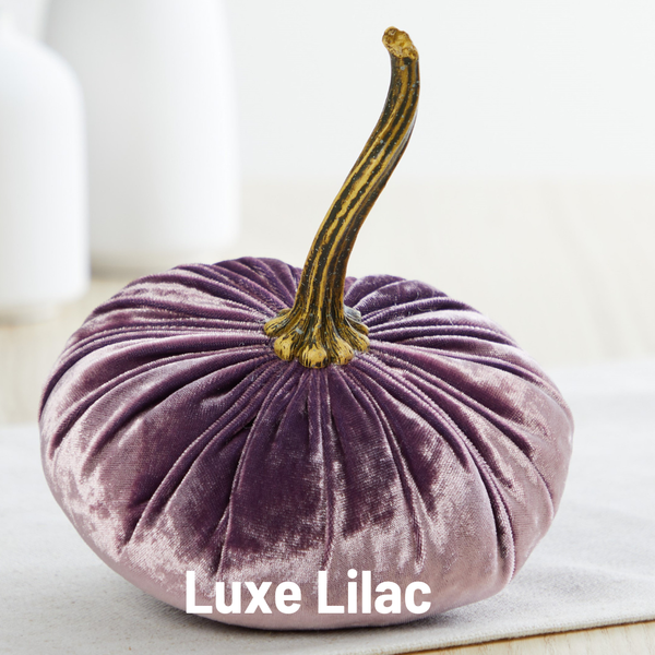 Pumpkin Small Velvet Fall Decor Gift for New Apartment Best: Olive