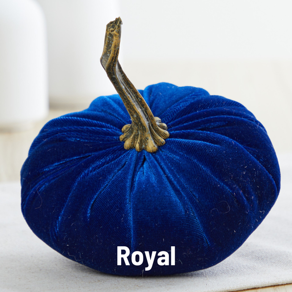 Pumpkin Small Velvet Fall Decor Gift for New Apartment Best: Harvest