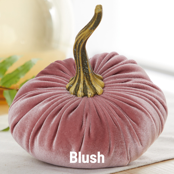 Pumpkin Large Velvet, Fall Decor, Shelf Sitter, Tablescape: Blush