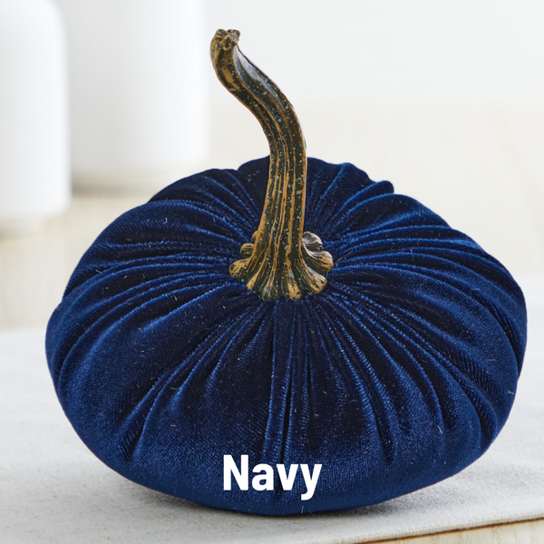 Pumpkin Small Velvet Fall Decor Gift for New Apartment Best: Blush