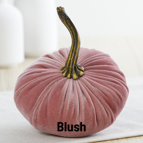 Pumpkin Small Velvet Fall Decor Gift for New Apartment Best: Blush