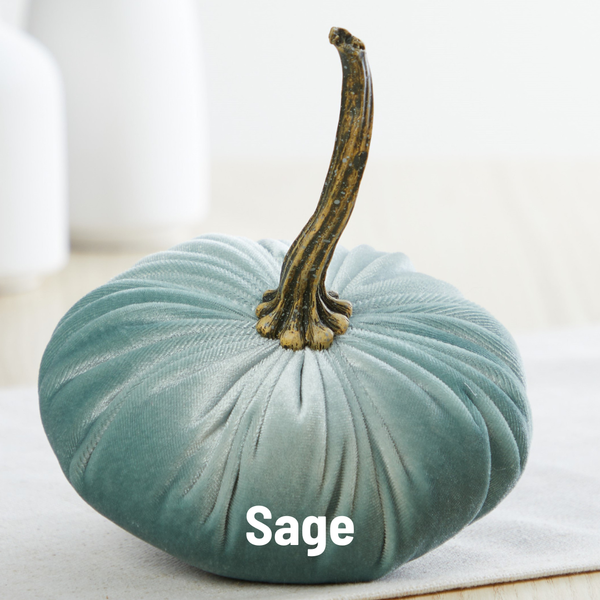 Pumpkin Small Velvet Fall Decor Gift for New Apartment Best: Bronze