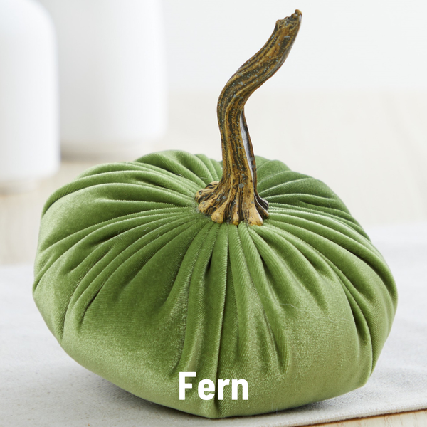 Pumpkin Small Velvet Fall Decor Gift for New Apartment Best: Bronze