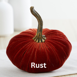 Pumpkin Small Velvet Fall Decor Gift for New Apartment Best: Rust