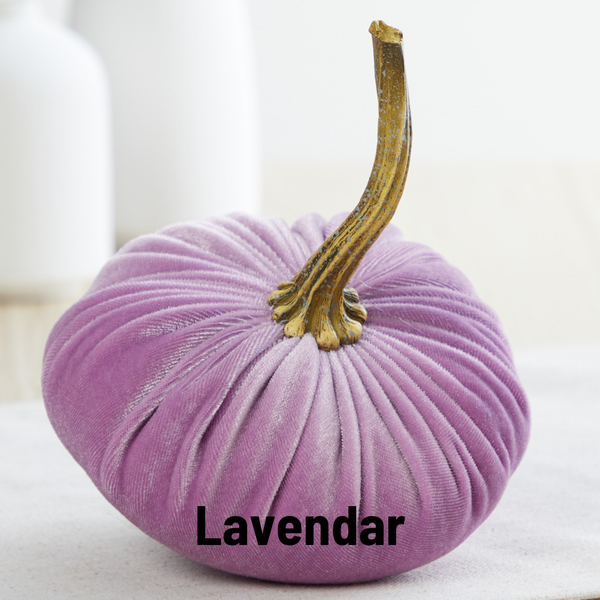 Pumpkin Small Velvet Fall Decor Gift for New Apartment Best: Olive