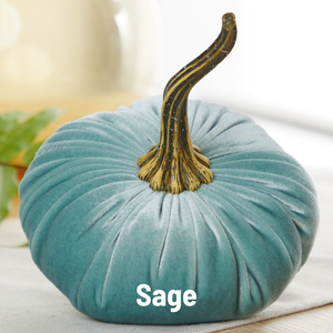 Pumpkin Large Velvet, Fall Decor, Shelf Sitter, Tablescape: Sage