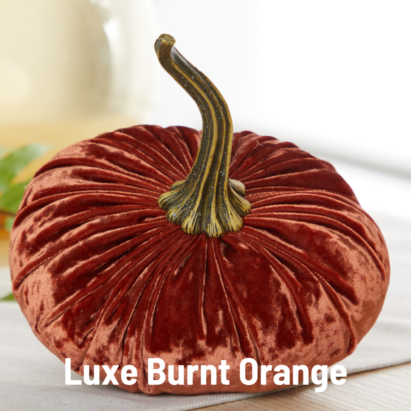 Pumpkin Large Velvet, Fall Decor, Shelf Sitter, Tablescape: Gold