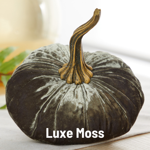 Pumpkin Large Velvet, Fall Decor, Shelf Sitter, Tablescape: Taupe