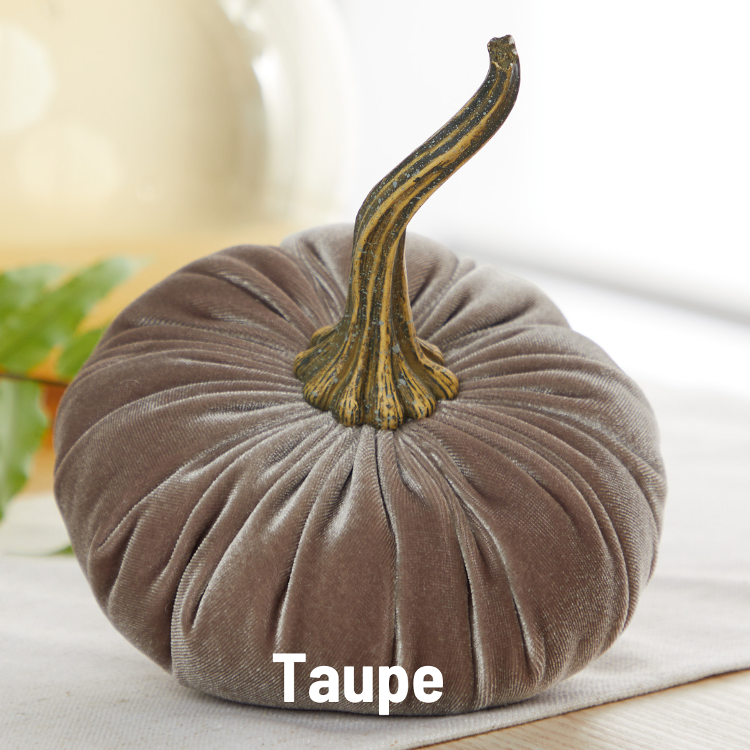 Pumpkin Large Velvet, Fall Decor, Shelf Sitter, Tablescape: Taupe