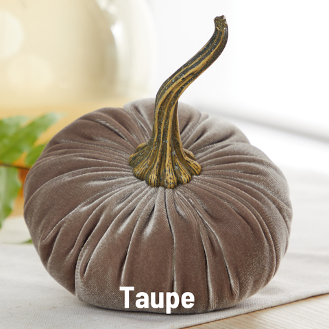 Pumpkin Large Velvet, Fall Decor, Shelf Sitter, Tablescape: Taupe