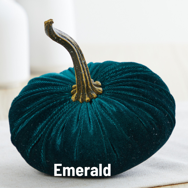 Pumpkin Small Velvet Fall Decor Gift for New Apartment Best: Blush