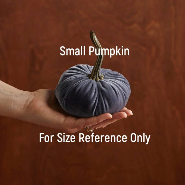 Pumpkin Small Velvet Fall Decor Gift for New Apartment Best: Bronze