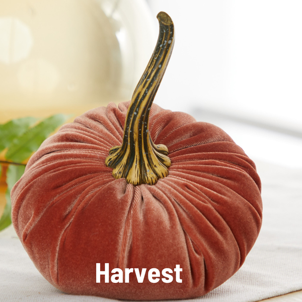 Pumpkin Large Velvet, Fall Decor, Shelf Sitter, Tablescape: Taupe