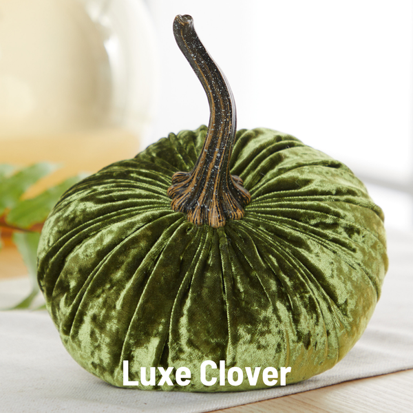 Pumpkin Small Velvet Fall Decor Gift for New Apartment Best: Blush