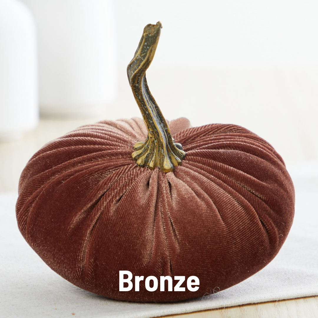 Pumpkin Small Velvet Fall Decor Gift for New Apartment Best: Bronze