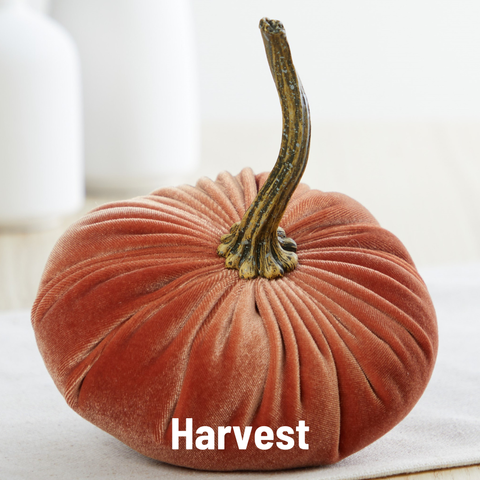 Pumpkin Small Velvet Fall Decor Gift for New Apartment Best: Harvest