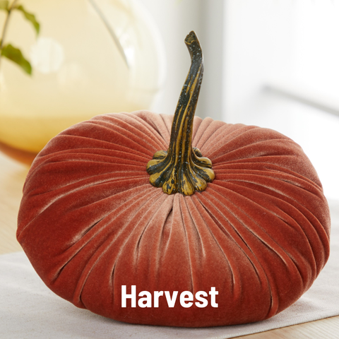 Pumpkin Extra Large Velvet,  Fall Accent Decor, Centerpiece: Harvest