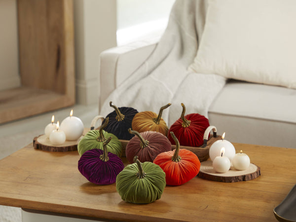 Pumpkin Small Velvet Fall Decor Gift for New Apartment Best: Harvest