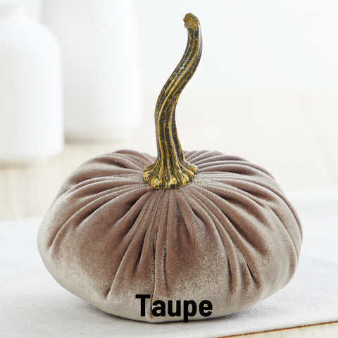 Pumpkin Small Velvet Fall Decor Gift for New Apartment Best: Taupe