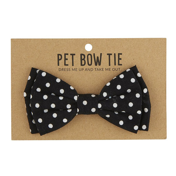 Pet Bow Tie - Polka Dot Black