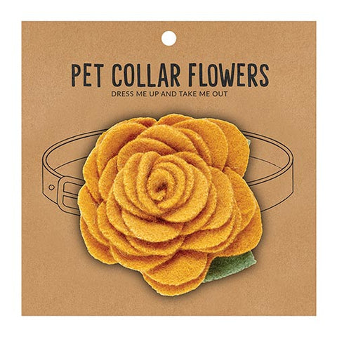 Pet Collar Flower - Medium Marigold